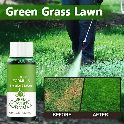 🔥Last Day 80% OFF🌱Hydro Seeding Lawn Solution