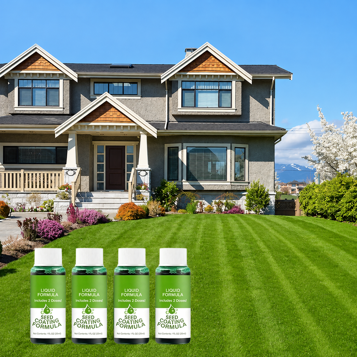 🔥Last Day 80% OFF🌱Hydro Seeding Lawn Solution