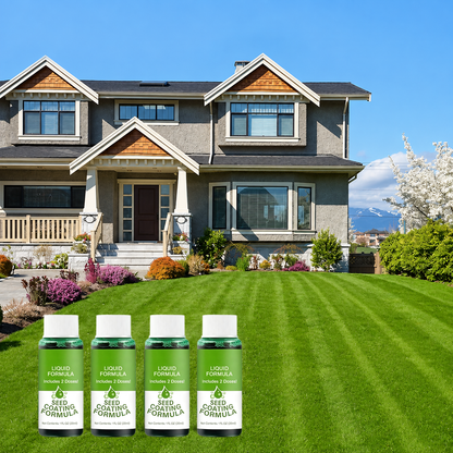 🔥Last Day 80% OFF🌱Hydro Seeding Lawn Solution