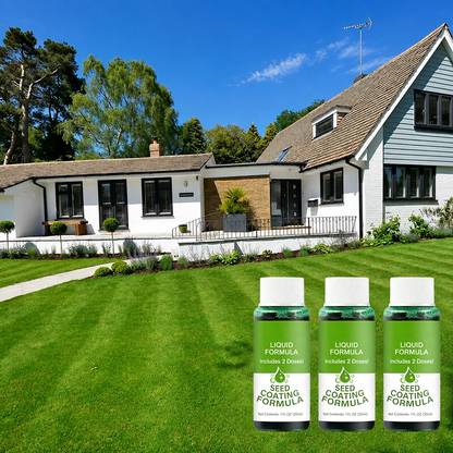 🔥Last Day 80% OFF🌱Hydro Seeding Lawn Solution