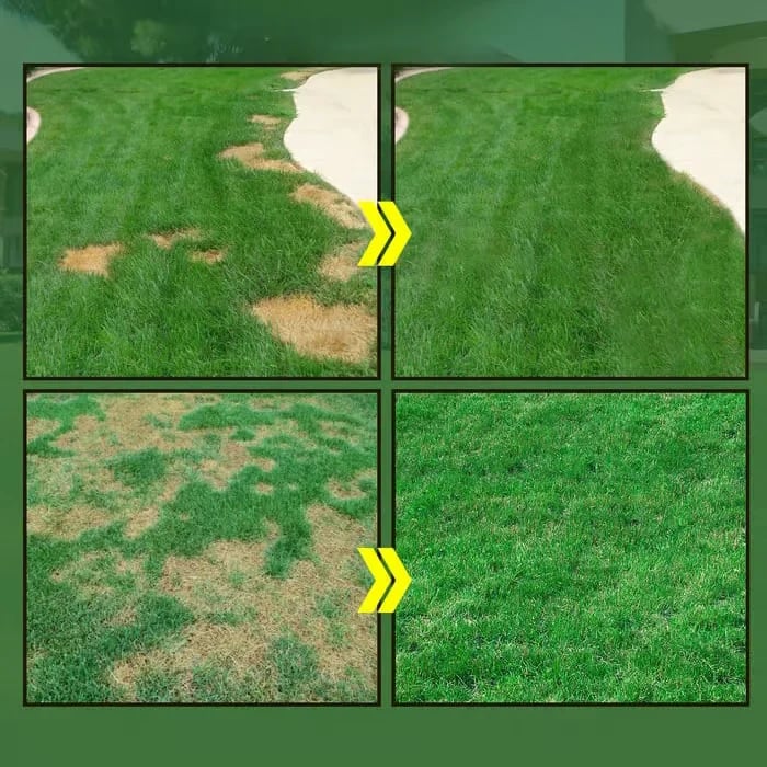 🔥Last Day 80% OFF🌱Hydro Seeding Lawn Solution