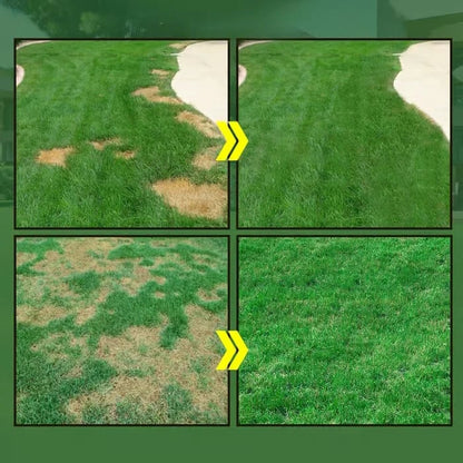 🔥Last Day 80% OFF🌱Hydro Seeding Lawn Solution