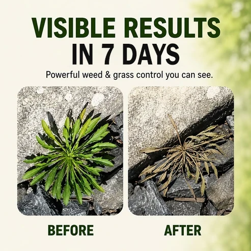 🥳2026 HOT SALE🥳💞10K+ SOLD!🛋️✨ 50% OFF! - Fast-Acting Natural Weed & Grass Killer Spray