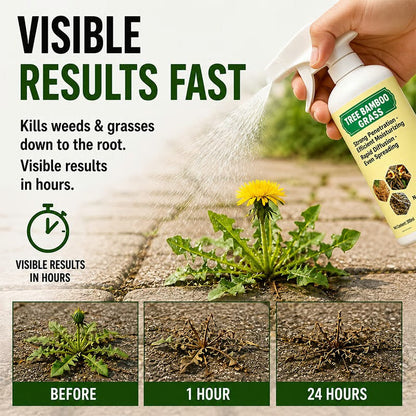 🥳2026 HOT SALE🥳💞10K+ SOLD!🛋️✨ 50% OFF! - Fast-Acting Natural Weed & Grass Killer Spray