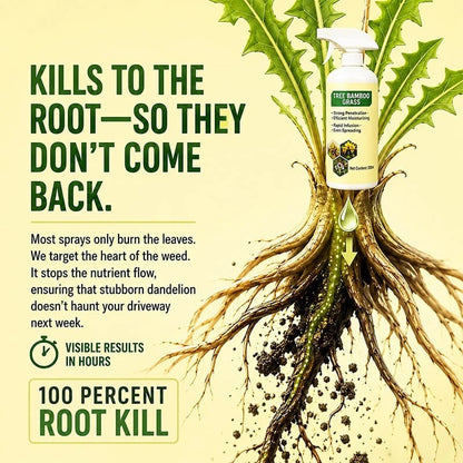 🥳2026 HOT SALE🥳💞10K+ SOLD!🛋️✨ 50% OFF! - Fast-Acting Natural Weed & Grass Killer Spray